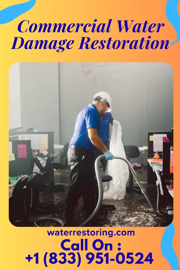 Commercial Water Damage Restoration in Mineola, NY