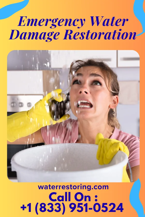 Emergency Water Damage Restoration in Mineola, NY