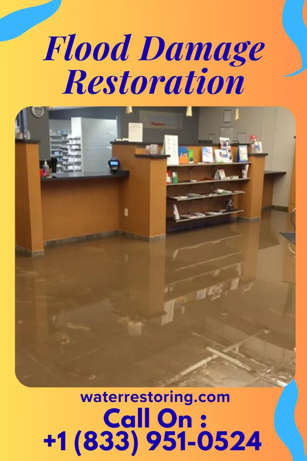 Flood Damage Restoration in Mineola, NY