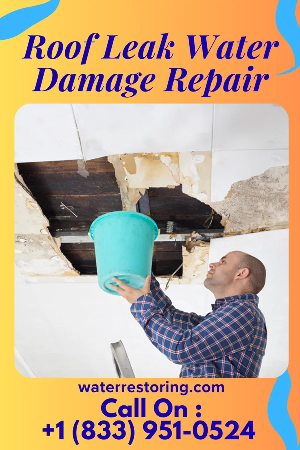 Roof Leak Water Damage Repair in Mineola, NY