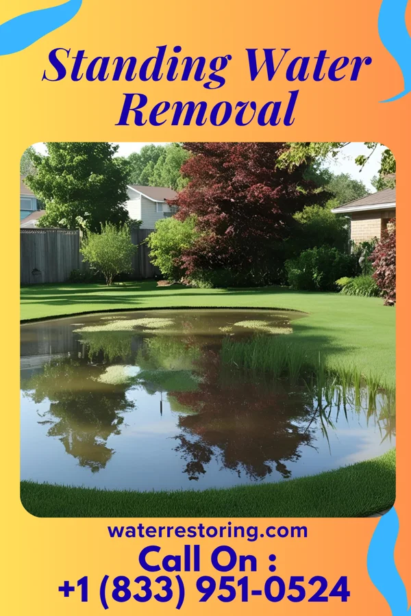 Standing Water Removal in Mineola, NY